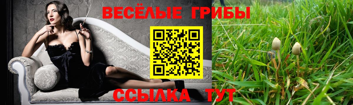 Псилоцибиновые грибы Magic Shrooms Саратов