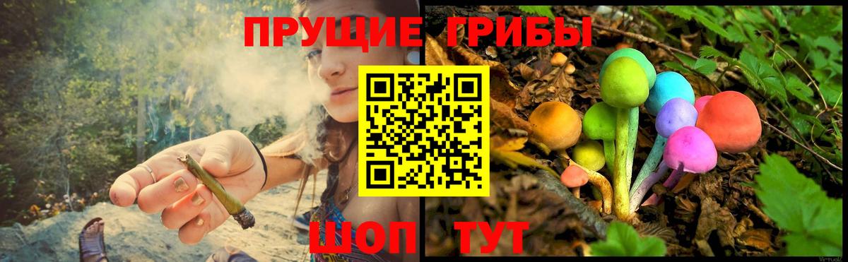 Галлюциногенные грибы мицелий  где продают   Саратов  Галлюциногенные грибы ЛСД  Вход с VPN 